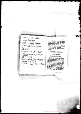 Fotogramma C 10