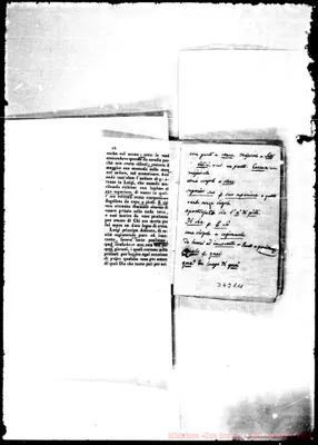Fotogramma C 11