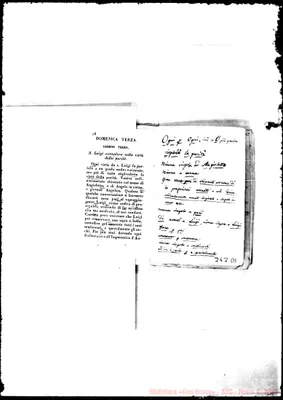 Fotogramma D 1