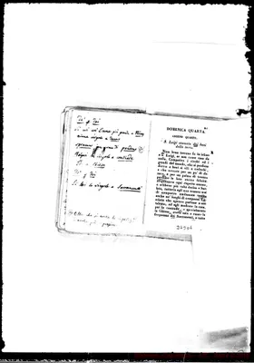 Fotogramma D 4