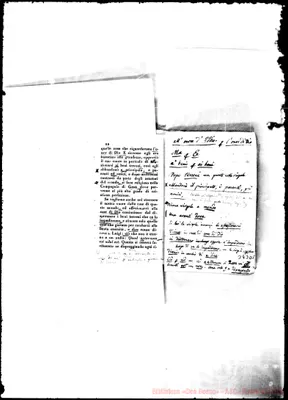 Fotogramma D 5