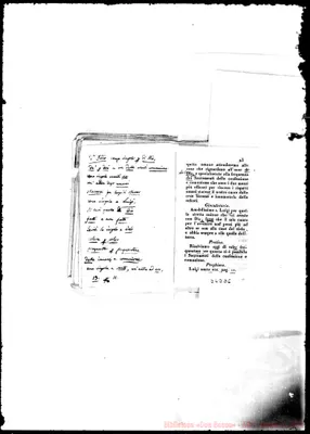 Fotogramma D 6