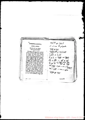 Fotogramma D 7