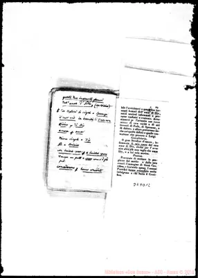 Fotogramma D 12
