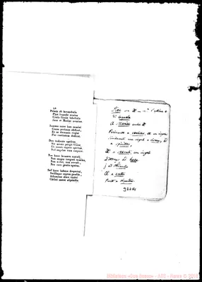 Fotogramma A 1