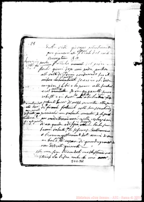 Fotogramma C 12
