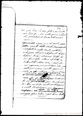 Fotogramma D 11