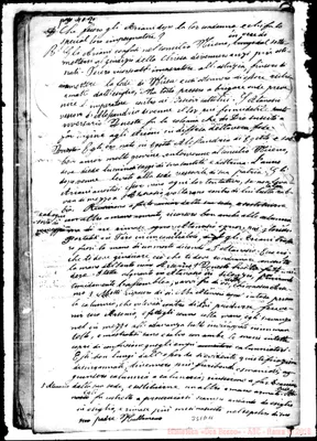 Fotogramma D 11