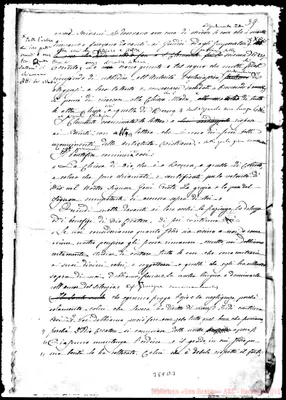 Fotogramma D 3