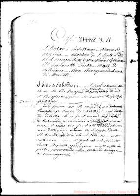 Fotogramma E 7