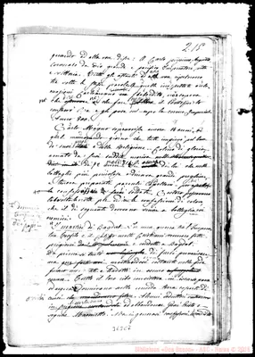 Fotogramma C 7