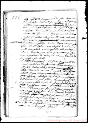 Fotogramma D 6