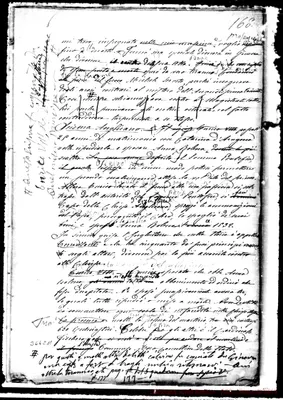 Fotogramma C 11