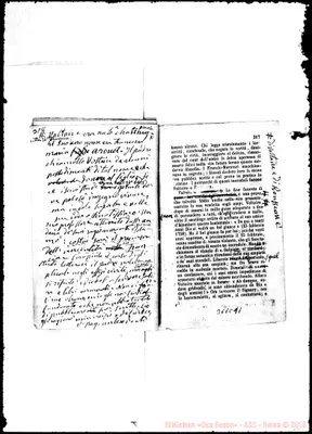 Fotogramma C 11