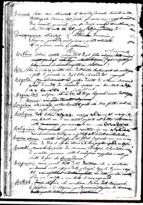 Fotogramma B 11