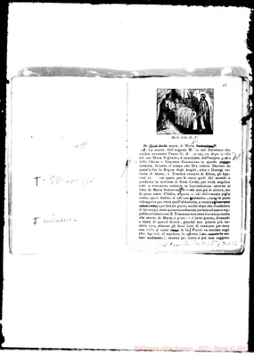 Fotogramma E 8