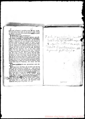 Fotogramma B 8