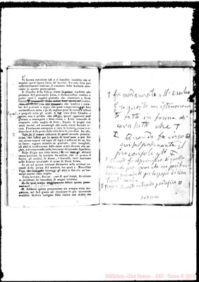 Fotogramma B 10