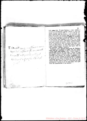 Fotogramma C 5