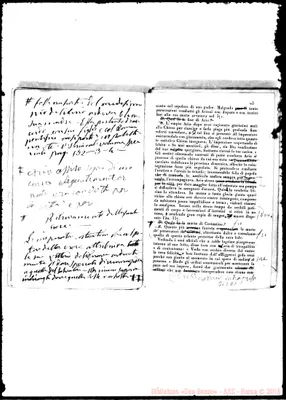 Fotogramma D 1