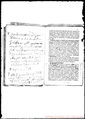 Fotogramma D 5