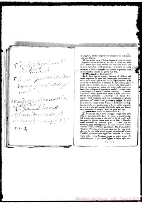 Fotogramma D 7