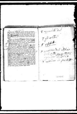 Fotogramma D 12