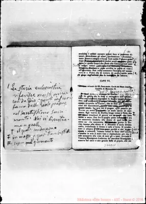 Fotogramma D 11