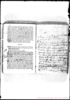 Fotogramma A 10