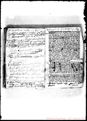 Fotogramma C 5