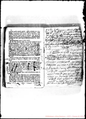 Fotogramma C 6