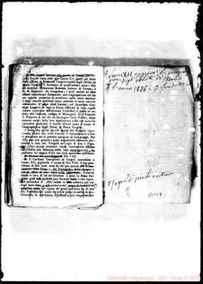 Fotogramma C 8