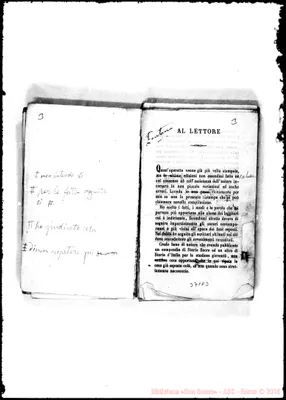 Fotogramma D 3