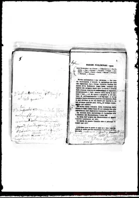 Fotogramma D 5