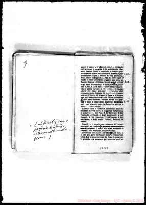Fotogramma D 7