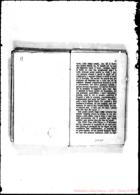 Fotogramma D 11