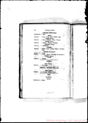 Fotogramma C 11