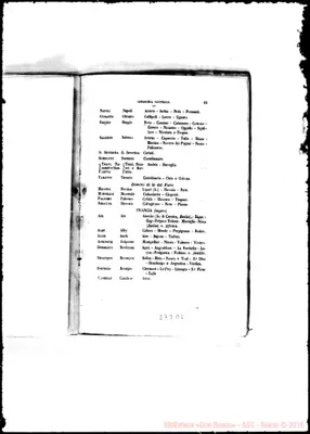 Fotogramma D 2