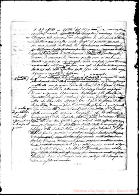 Fotogramma D 11