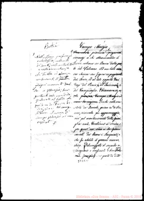 Fotogramma E 11