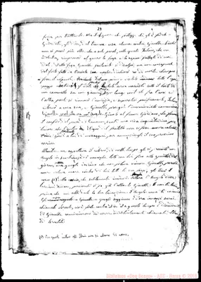 Fotogramma E 4