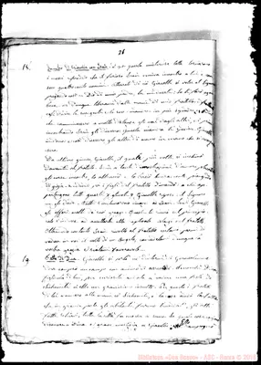 Fotogramma E 5