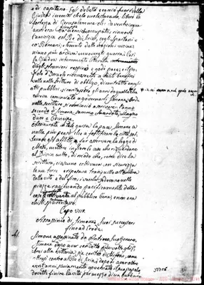 Fotogramma C 5
