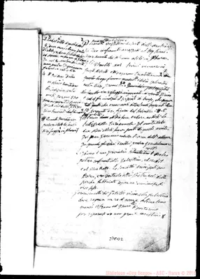 Fotogramma B 2
