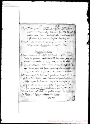 Fotogramma D 11