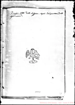 Fotogramma D 8
