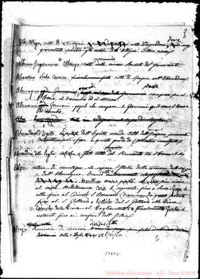 Fotogramma D 11