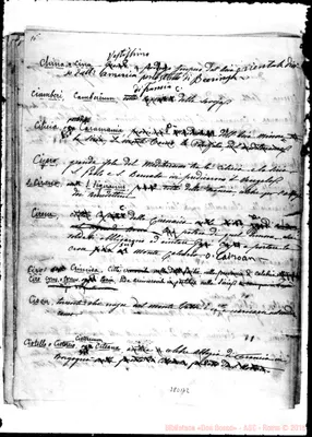 Fotogramma B 2