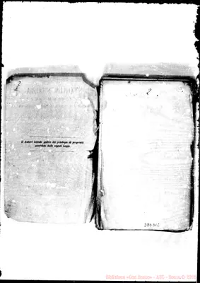 Fotogramma D 12