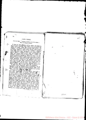 Fotogramma A 1